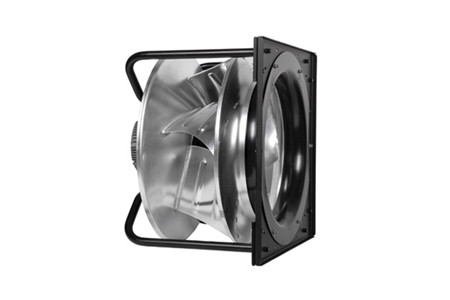 决定EC草莓视频下载APP价格的因素有哪些？