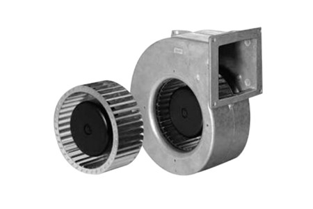 影响EC草莓视频下载APP价格的因素以及大致价格