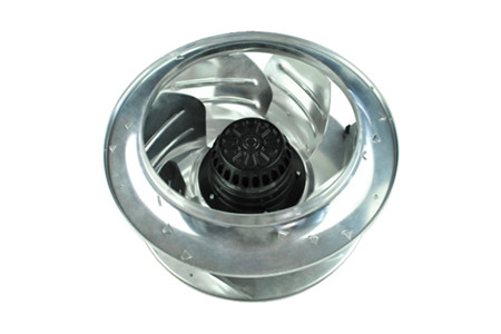 草莓视频下载APP适用于哪些领域？使用时应该注意哪些？